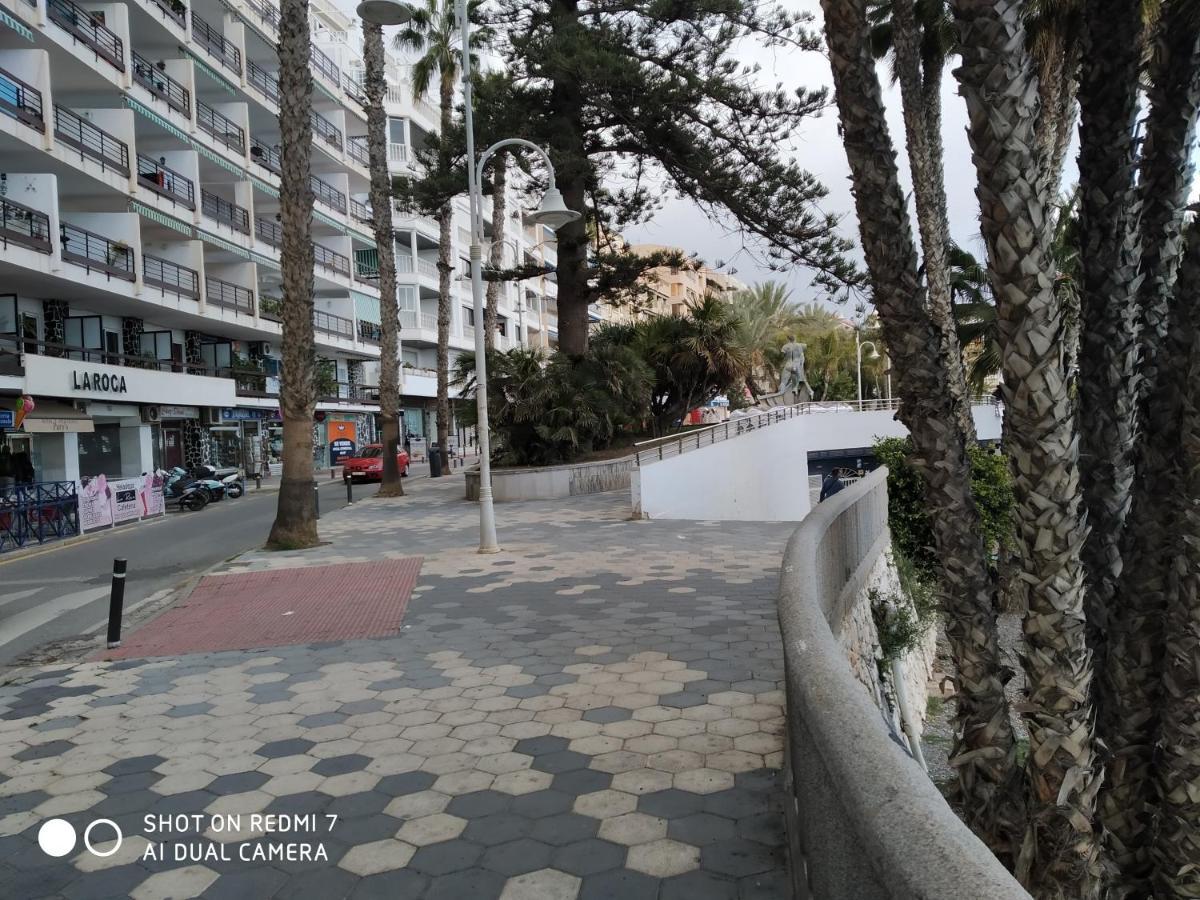 Delfin Home Almuñécar Dış mekan fotoğraf