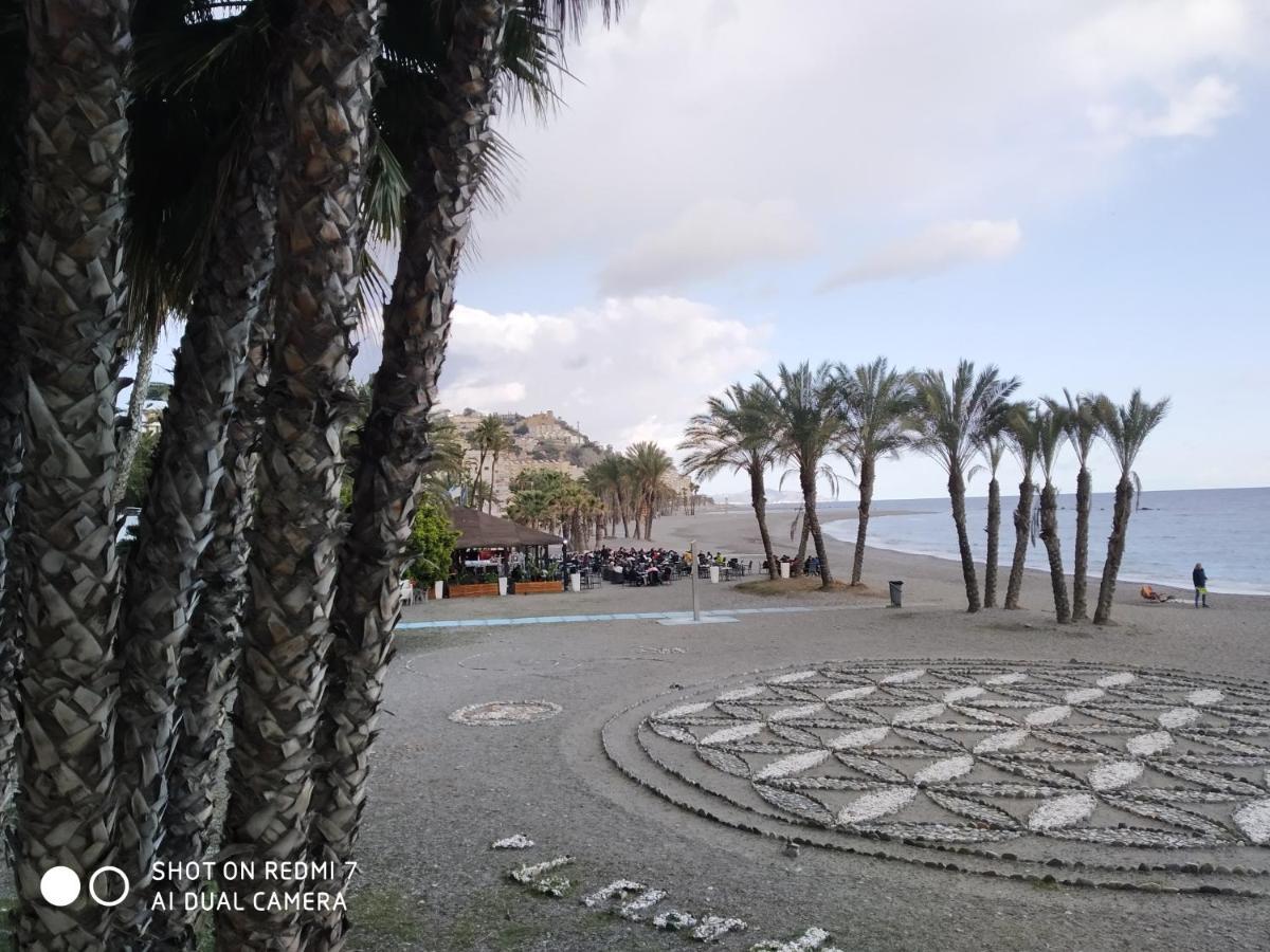 Delfin Home Almuñécar Dış mekan fotoğraf